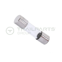 Glass fuse 100mA 5mm x 20mm for Boss / AJC control boards