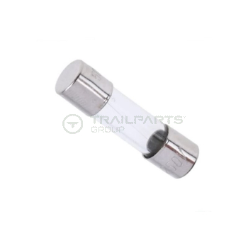 Glass fuse 100mA 5mm x 20mm to suit Boss / AJC control boards