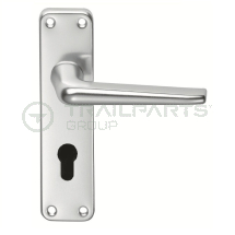 SAA interior/exterior euro lock handle